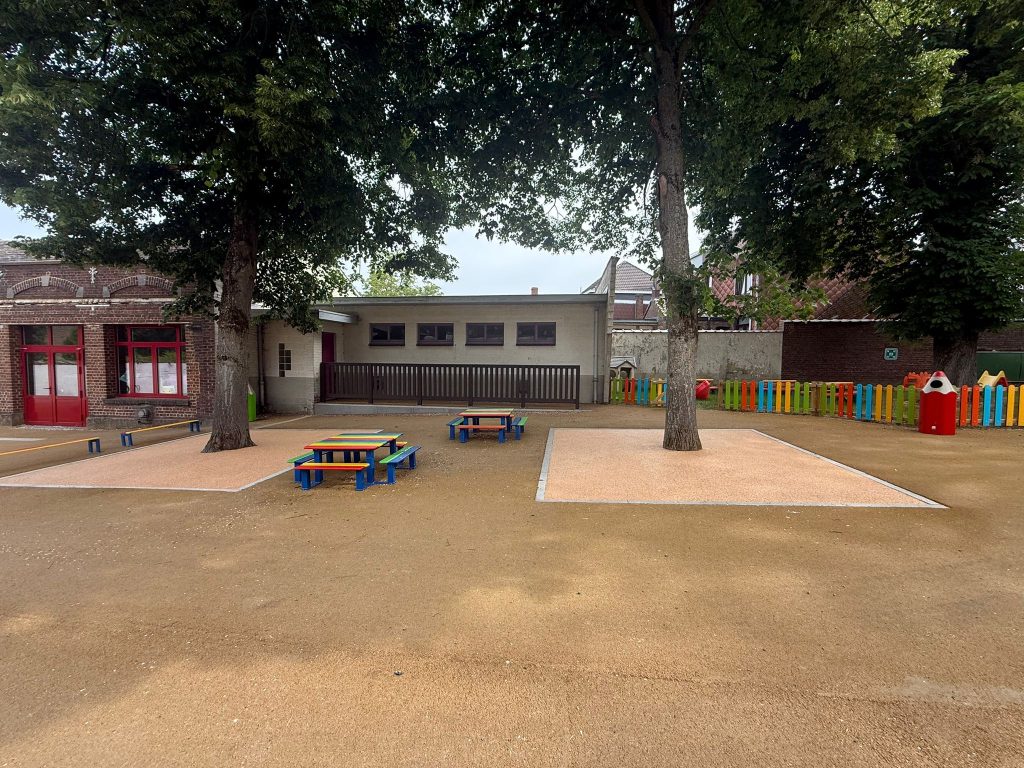 cour d'école résineo arbre