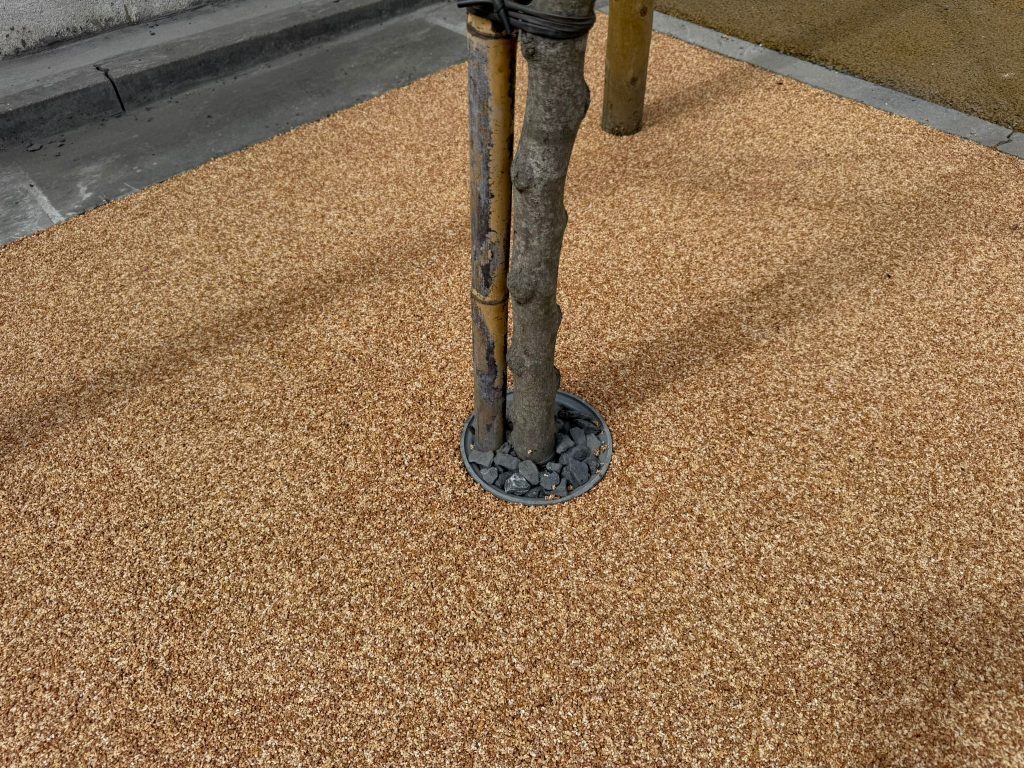 résineo arbre focus