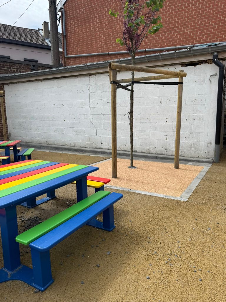 résineo arbre école