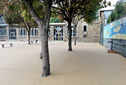 200x133 cours decole 1.png