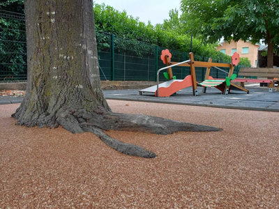 Tours d'arbres
