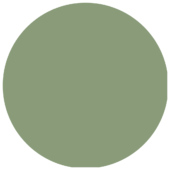 RAL6021