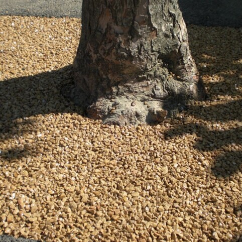 resineo arbre revêtement pour tour d'arbre